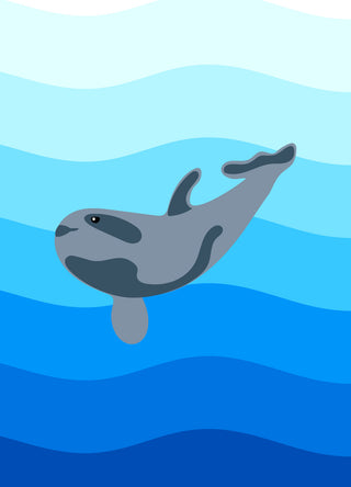 ¿Qué está pasando con la vaquita marina? 🐳