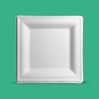 10" Biodegradable Disposable Square Plate - We Care