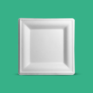 6" Biodegradable Disposable Square Plate - We Care