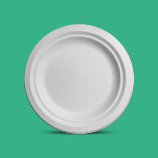 9" Biodegradable Disposable Plain Plate - We Care