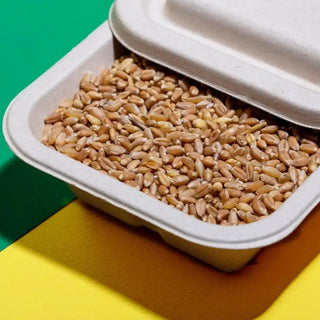 Tapa de Trigo Lunch Box Desechable y Biodegradable De 9x7 -
